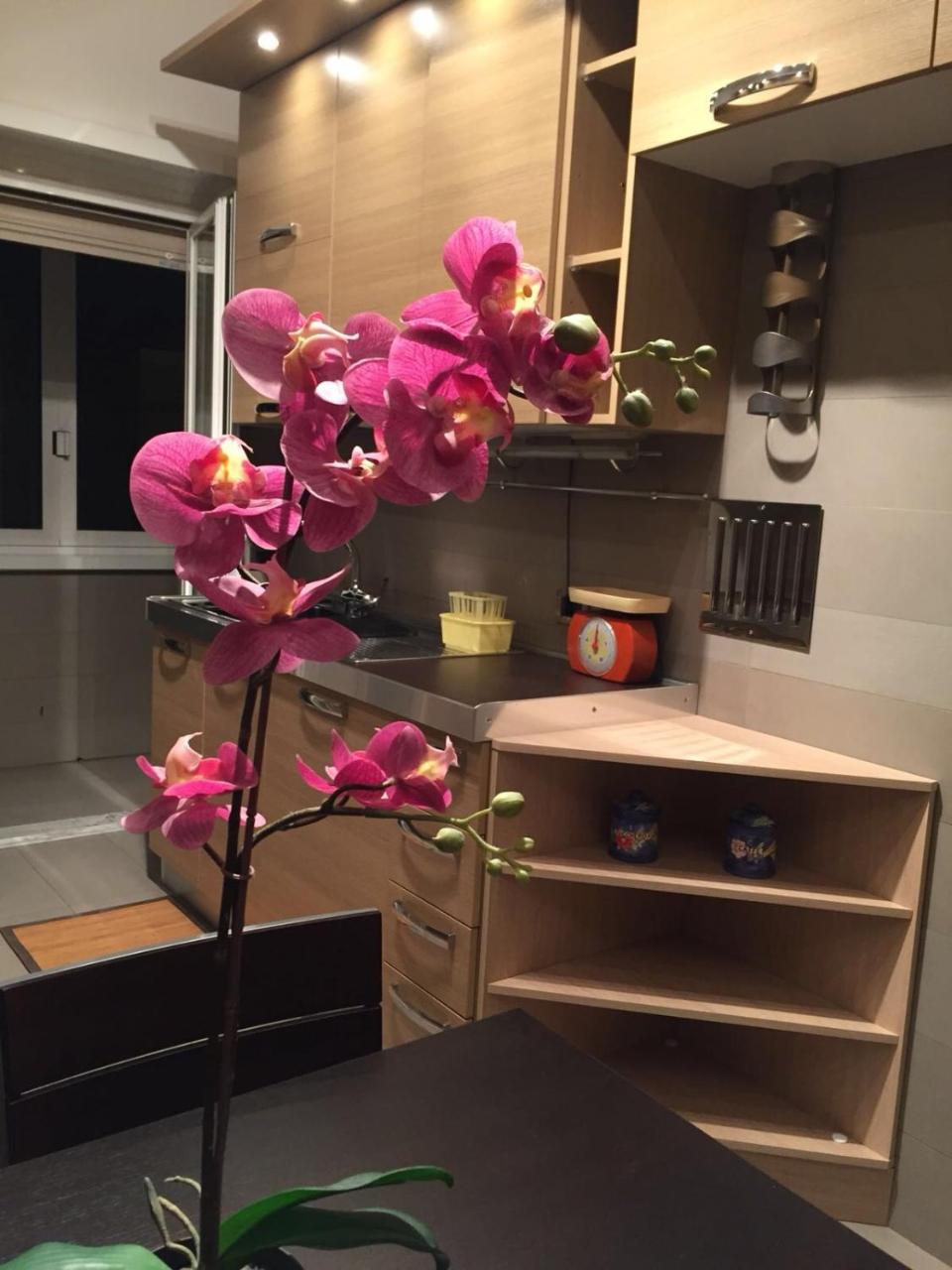Smart House - Ammiragli2 Apartment Roma Ngoại thất bức ảnh